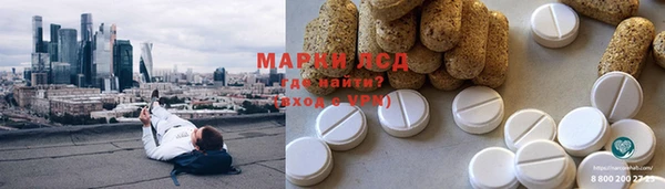 ГАЛЛЮЦИНОГЕННЫЕ ГРИБЫ Лагань