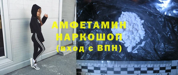 крисы Абаза