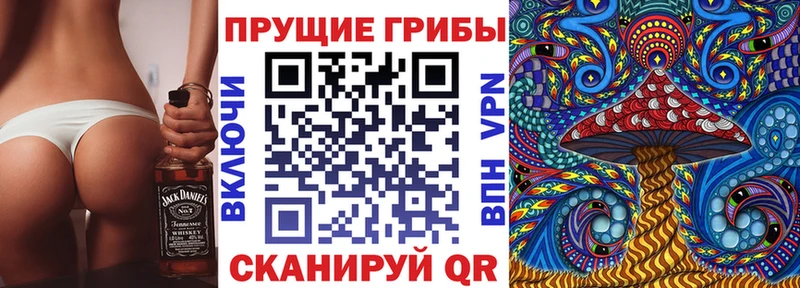 Галлюциногенные грибы Psilocybine cubensis  Ленинградская 